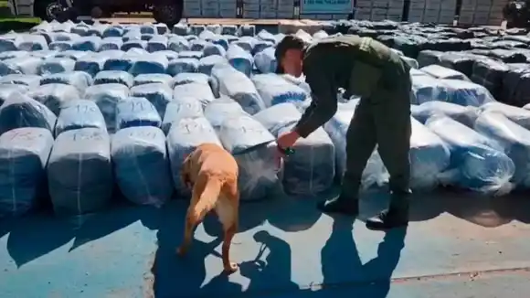 Ruta 34: secuestraron un cargamento de hojas de coca y detuvieron a cinco personas