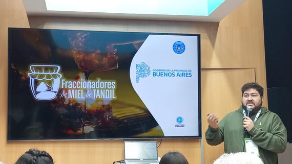 “En todo el mundo es muy buscada la miel de Tandil”
