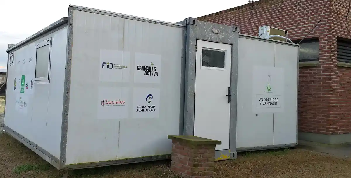 La Facultad de Ingeniería instaló un cultivo experimental de cannabis