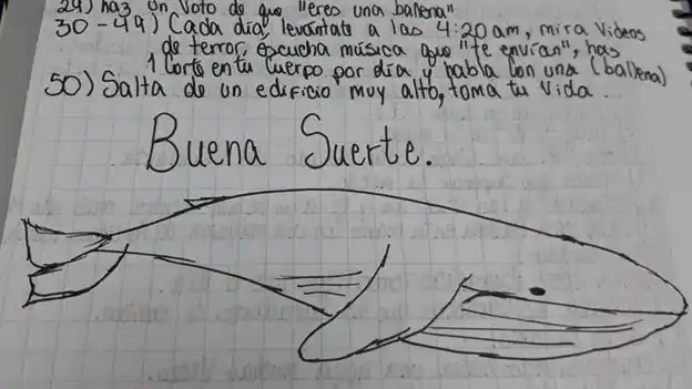 Se confirmó el primer caso de "Ballena Azul" en Entre Ríos