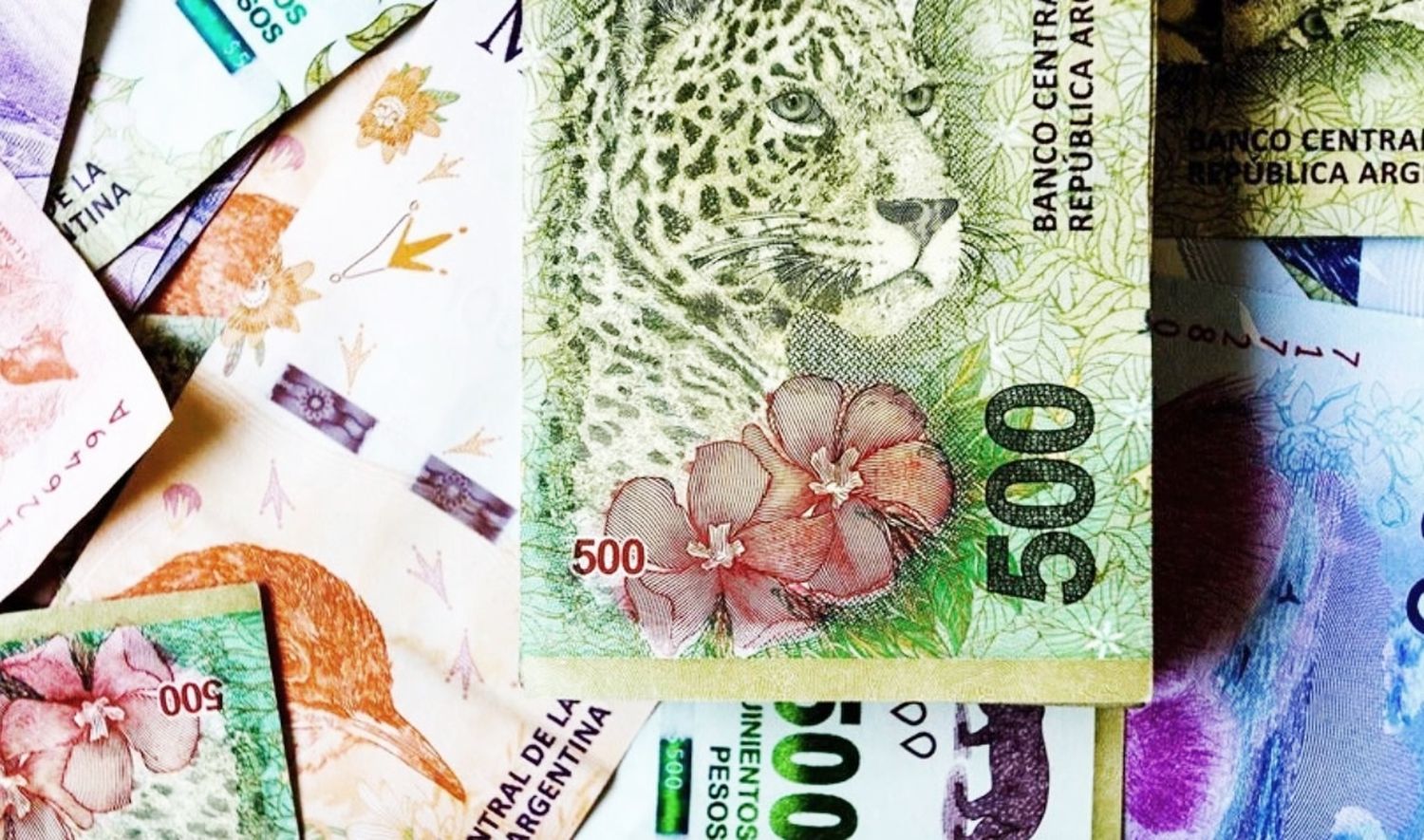 Las series de animales no formarán parte de los billetes de 10.000 y de 20.000