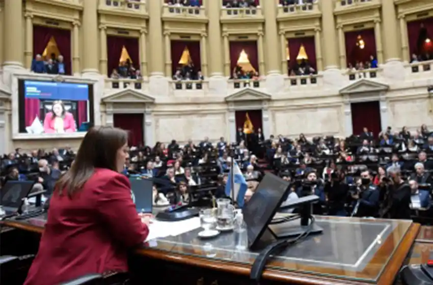 Diputados votó por unanimidad un repudio al atentado contra la Vicepresidenta