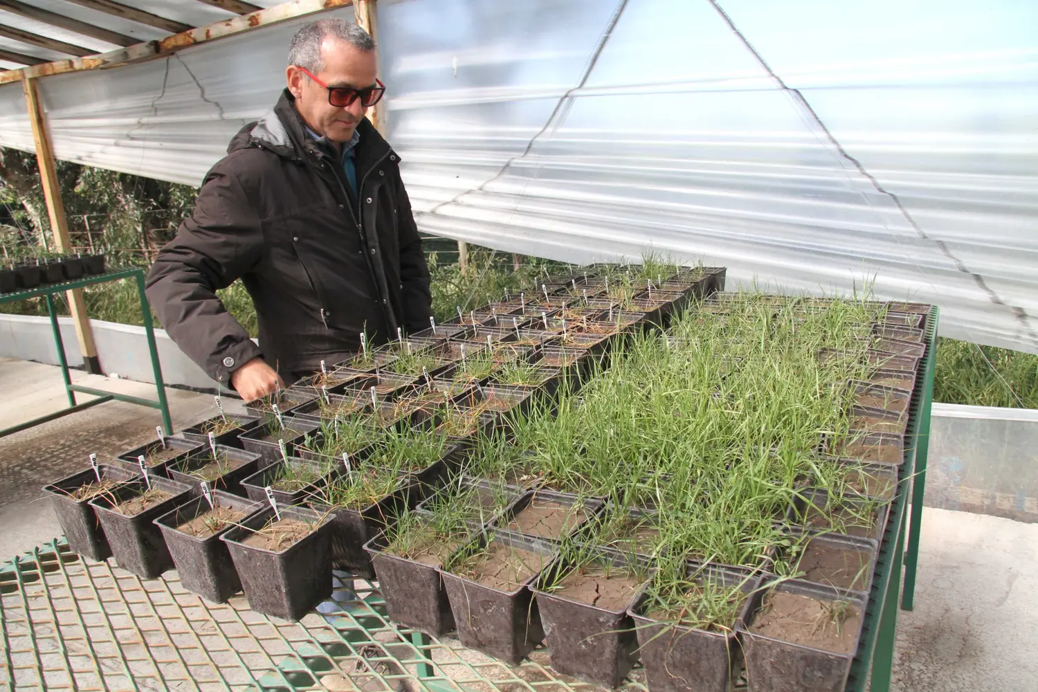 El exceso de humedad le suma complejidad al control de malezas
