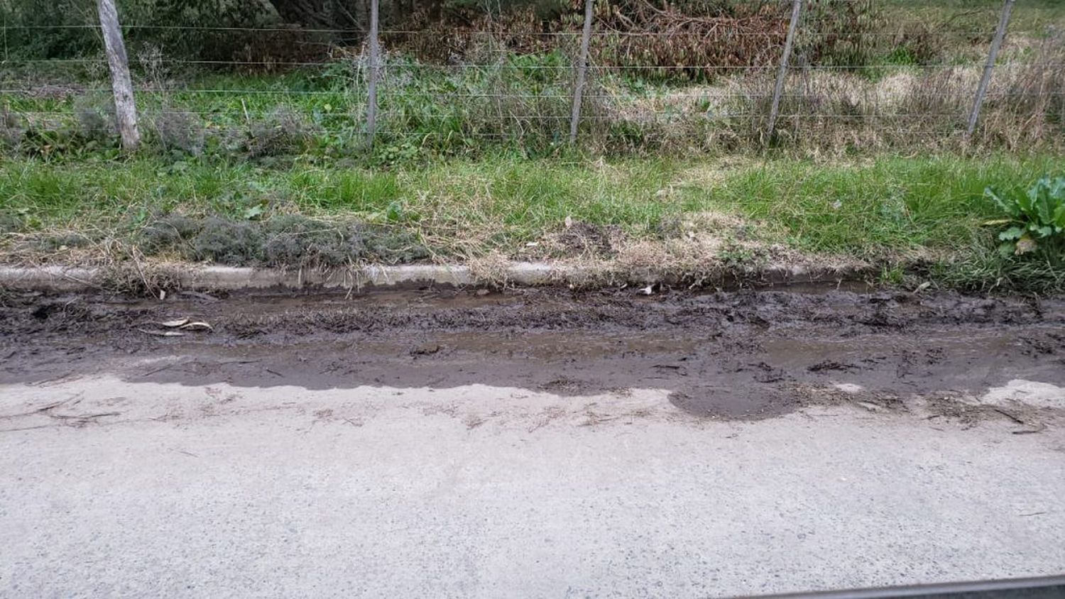 Reclamo por el estado de las calles