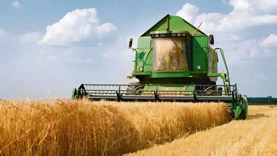 Trigo: las exportaciones crecieron 140% en volumen y 90% en valor