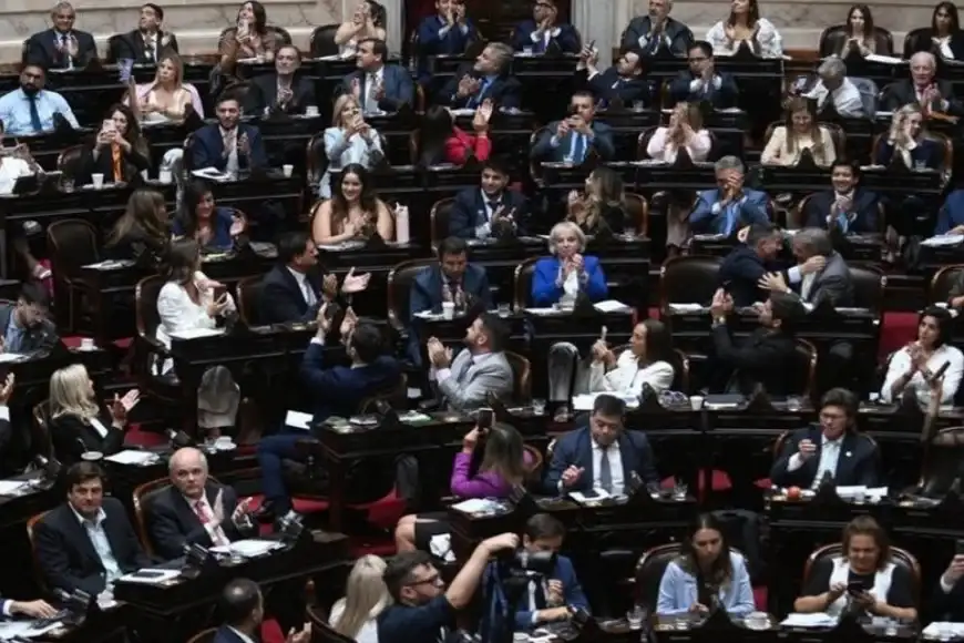 Diputados nacionales