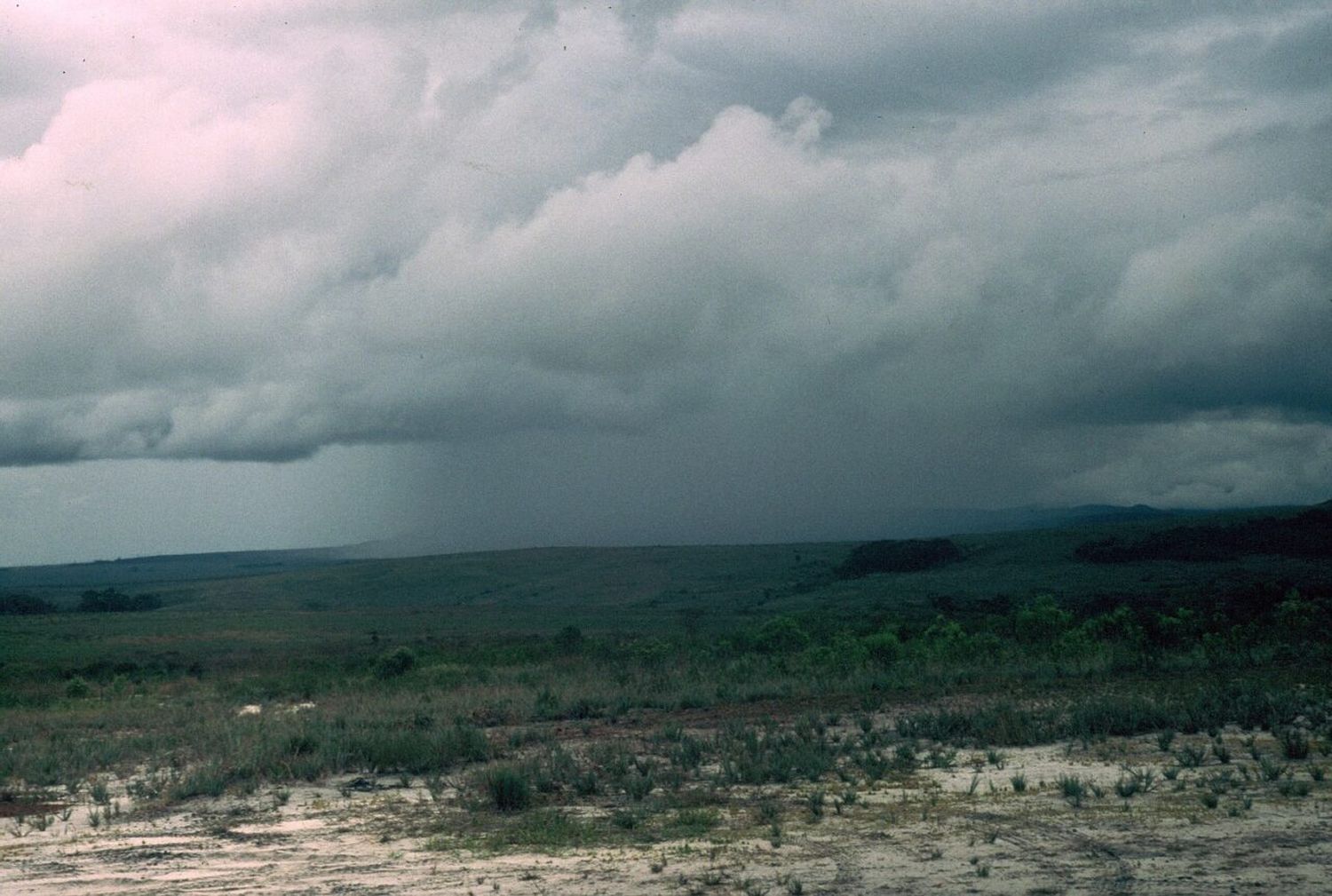 Lunes con lluvias en Venado y la región: ¿cómo seguirá la semana? 