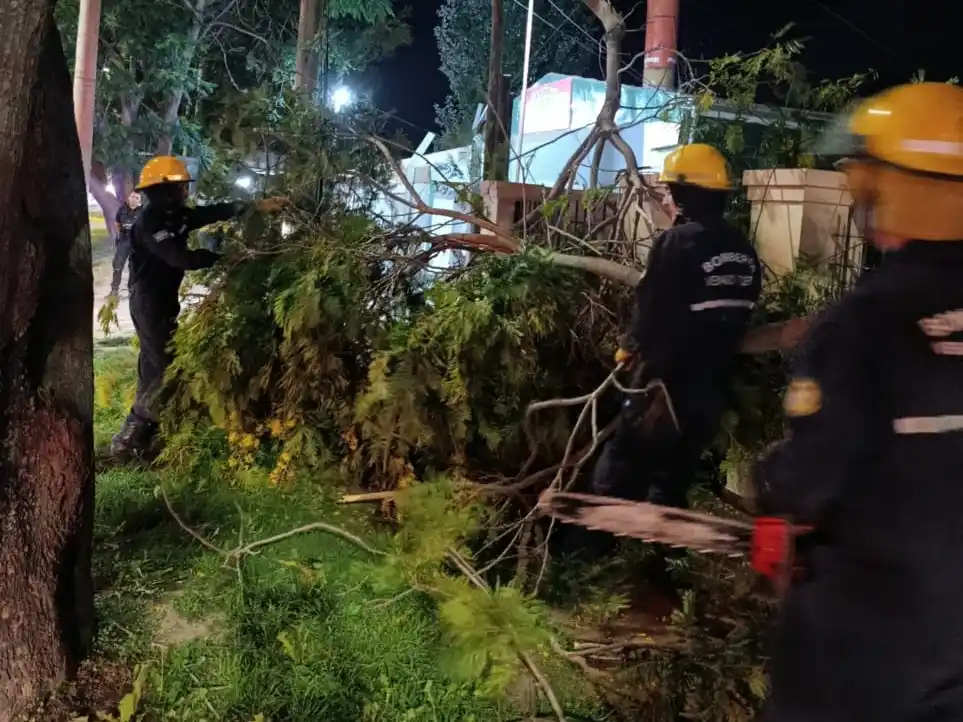 Crédito: Bomberos de Venado Tuerto.