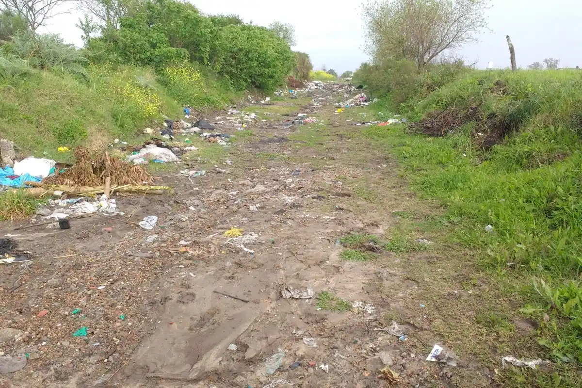 Microbasurales: los diversos puntos de limpieza del Municipio 