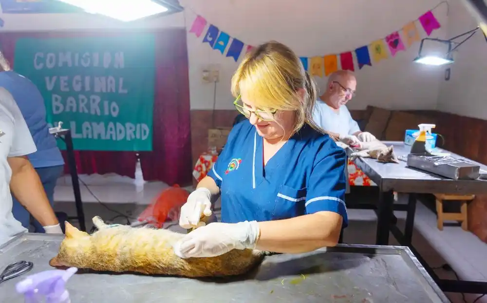 Cronograma de castraciones  para los barrios de Concordia