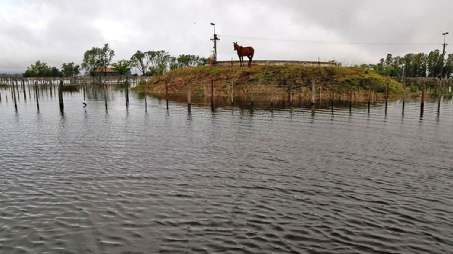 Estiman que inundaciones en La Pampa abarcan 2 millones de hectáreas