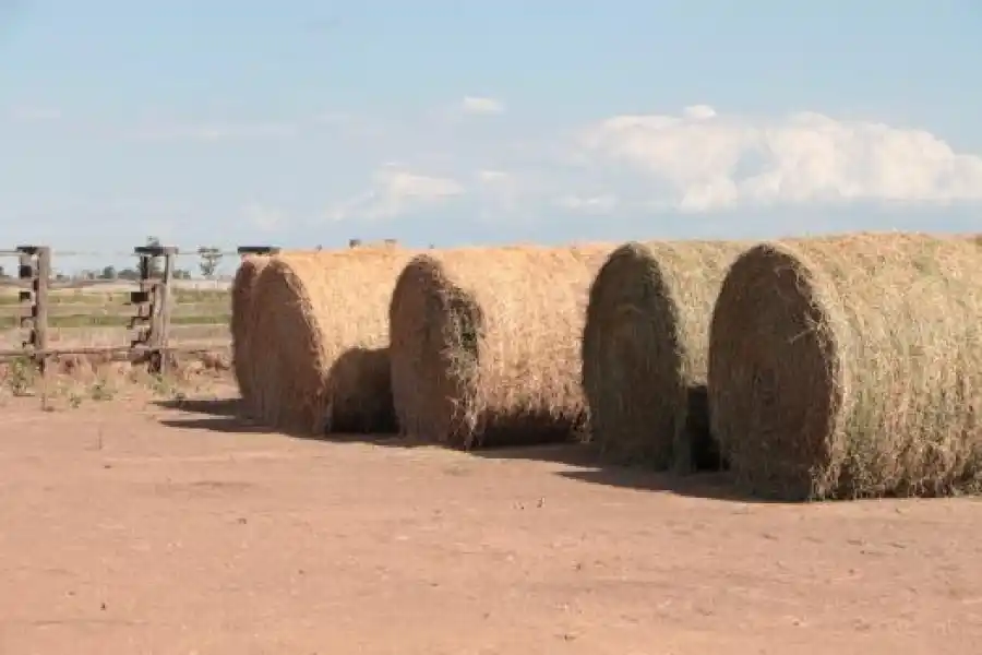 Emergencia agropecuaria: la provincia ofrece créditos con tasa bonificada por $5000 millones