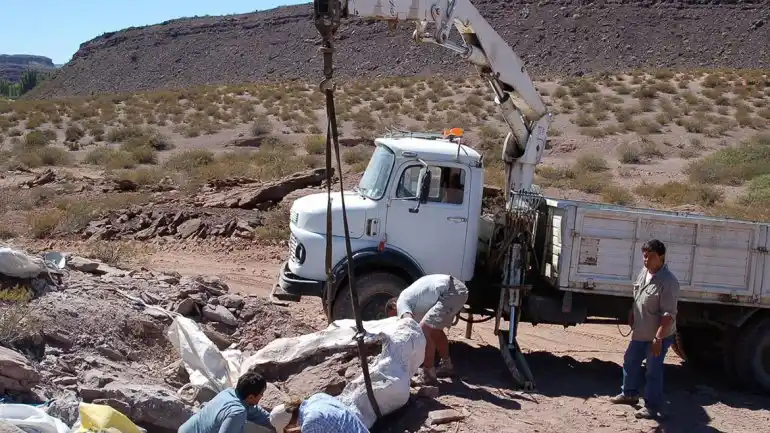 Descubren en Neuquén una nueva especie de dinosaurio