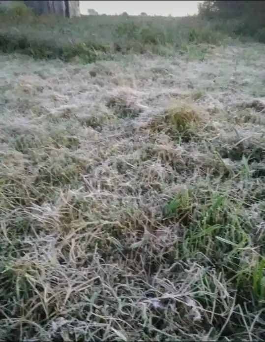 La primera helada del otoño se pudo ver en la zona