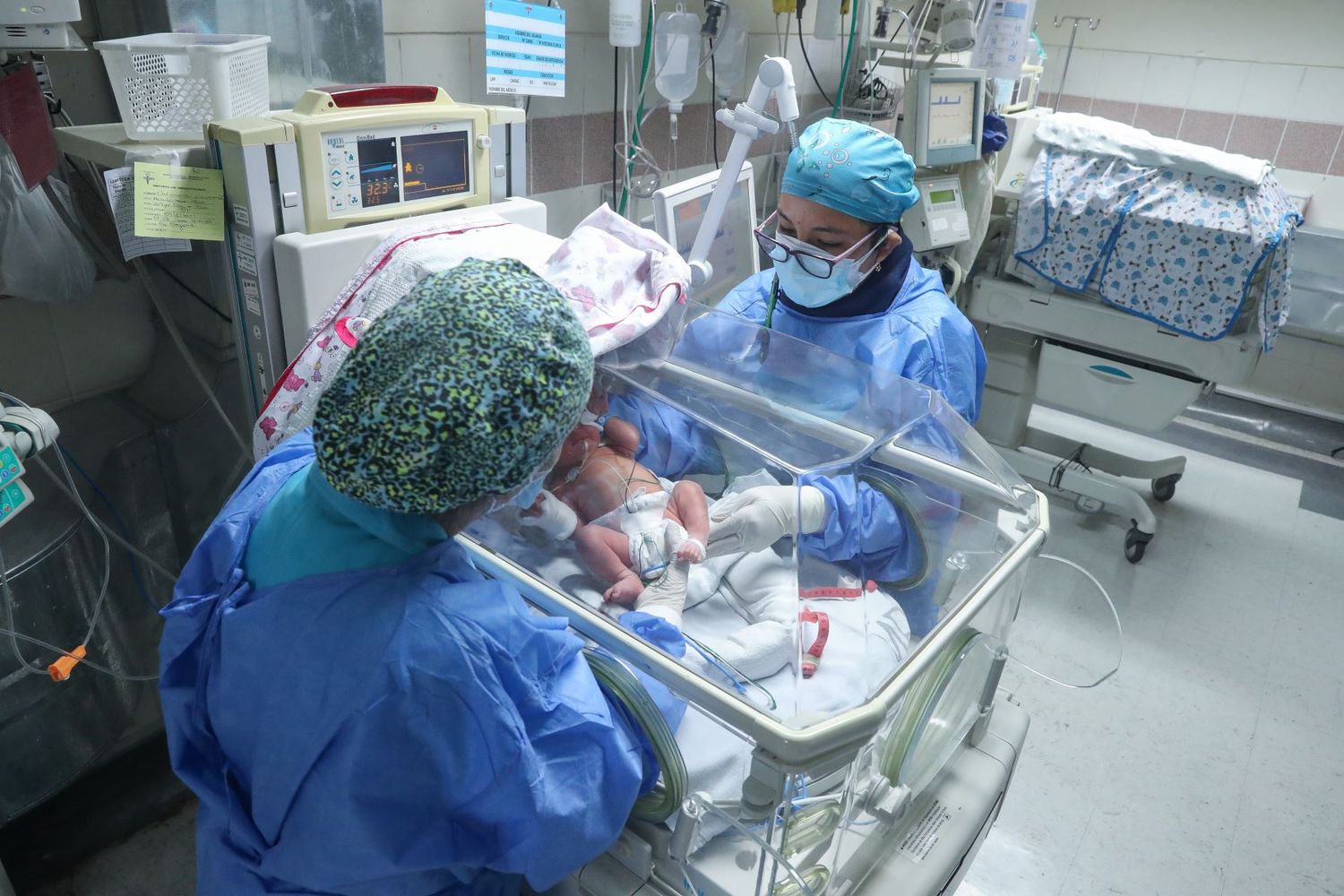 Entre Ríos presentó en jornada nacional su experiencia de trabajo en materia de retinopatía del prematuro