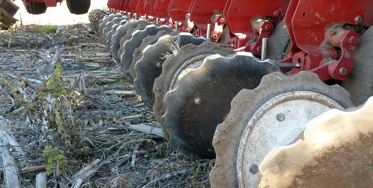 Las superficies proyectadas para maíz y girasol difícilmente puedan concretarse.