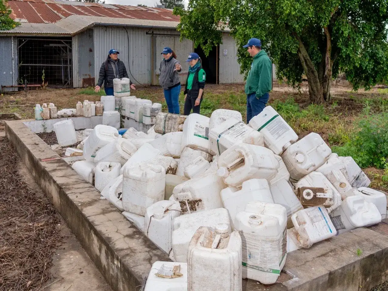 Recolectan casi tres toneladas de envases de fitosanitarios en el interior