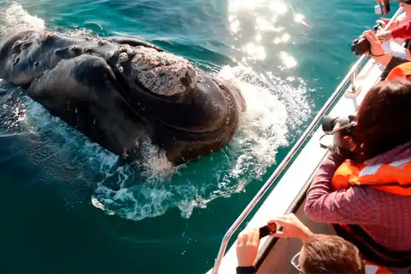 Claves para aprovechar el PreViaje 4: desde cuándo se accederá a los beneficios