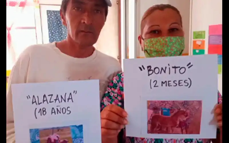 “Dentro del show, todo. Crónica de un espectáculo”, el comunicado del MTE sobre el operativo en La Tosquera