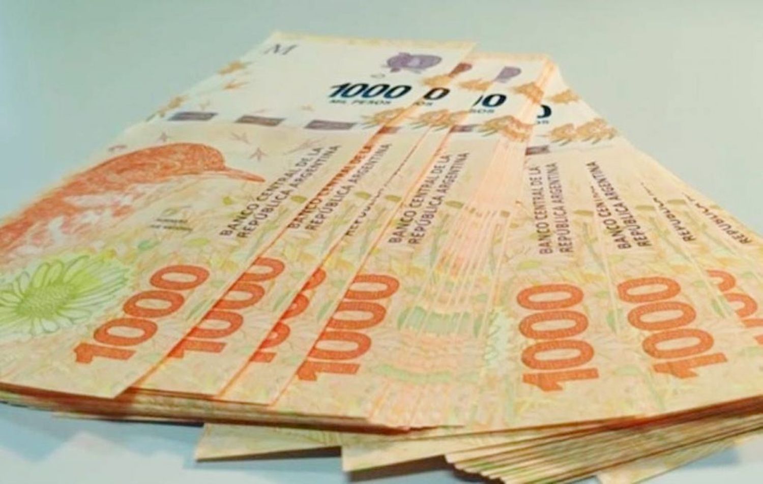 Anses abrió el proceso de inscripción para el bono de $18.000 a trabajadores informales