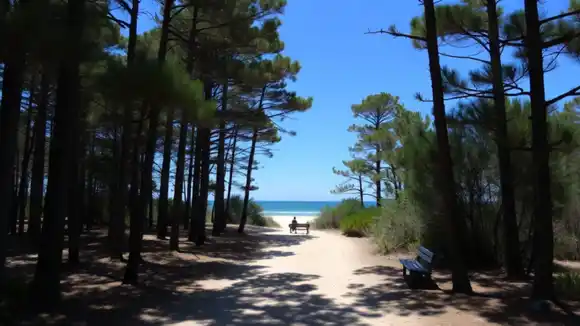 Las Gaviotas, entre el mar y el bosque: la última localidad de Villa Gesell en desarrollarse turísticamente