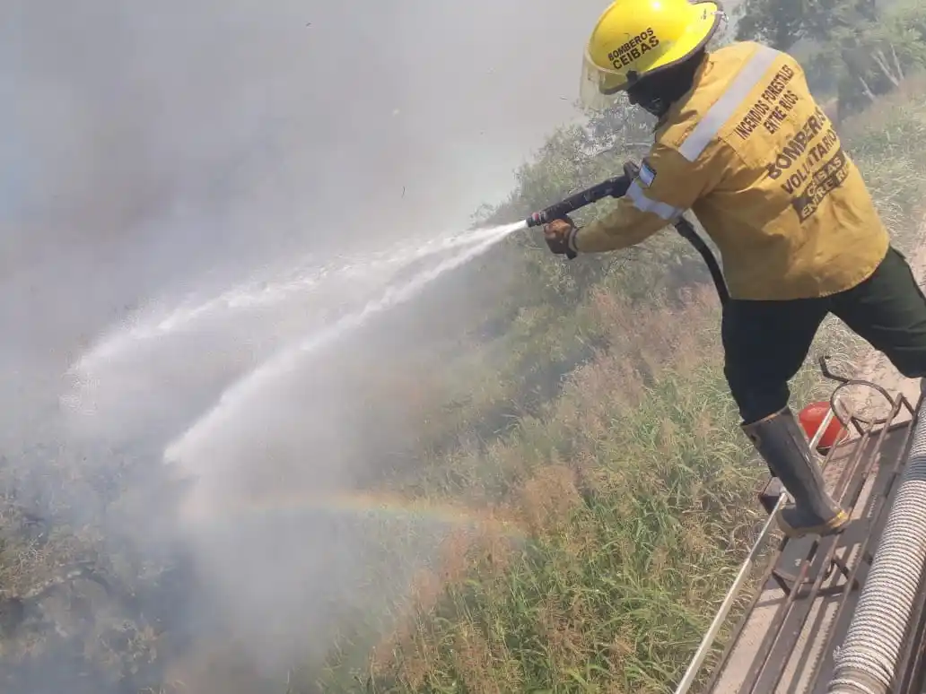 Un importante incendio en el sur entrerriano lleva quemado unas 64 hectáreas