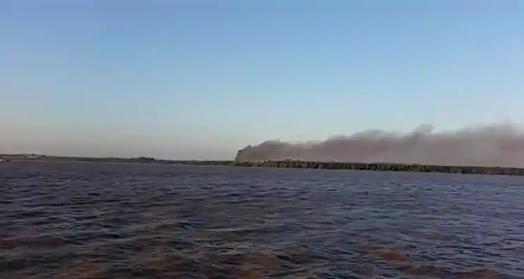 El daño colateral de los basureros a cielo abierto