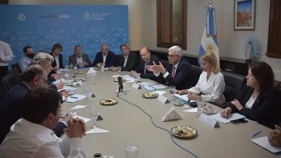 Domínguez confirmó el abastecimiento de carne para el mercado interno