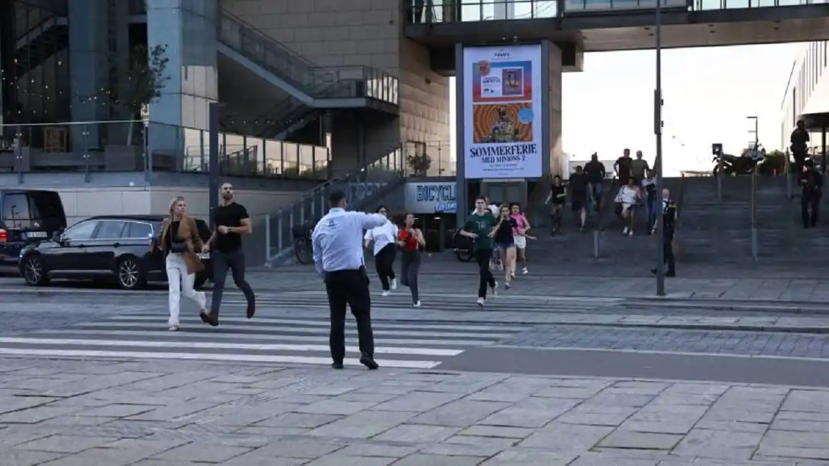 ANTECEDENTES PSIQUIÁTRICOS: la nueva línea de investigación de la matanza de Dinamarca