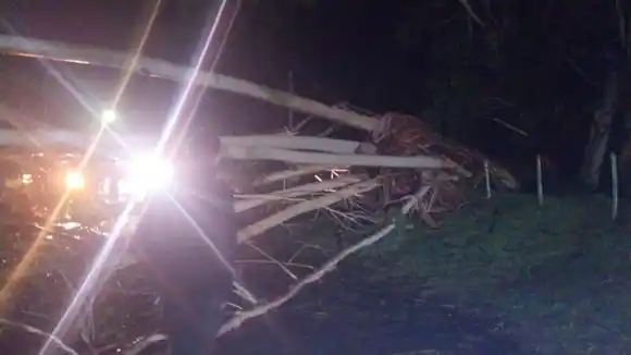 Temporal en Dolores: las ráfagas derribaron árboles, postes y obligaron a cortar la circulación en la zona
