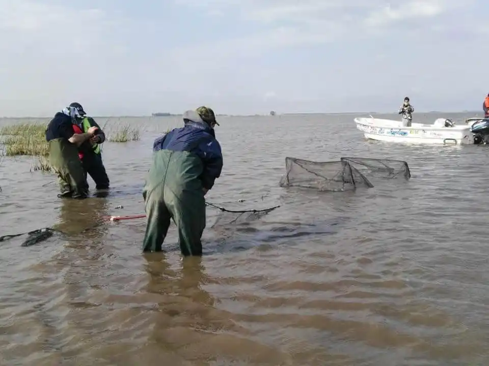 Especialistas estudian los peces de la laguna de Melincué