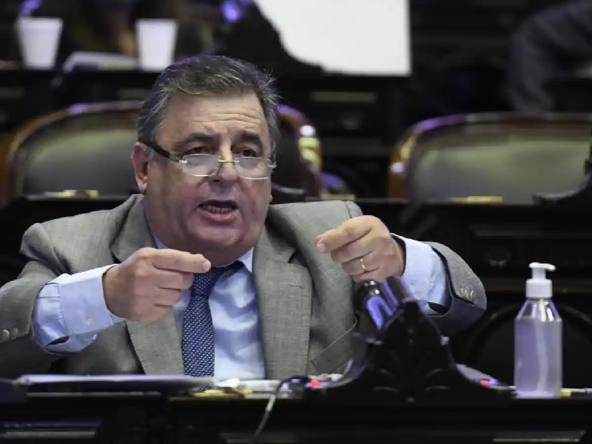 Negri: "El gobierno está sin GPS, totalmente desorientado"