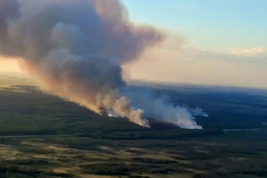Brigadistas de Gualeguaychú combaten el fuego en el Parque Nacional El Palmar