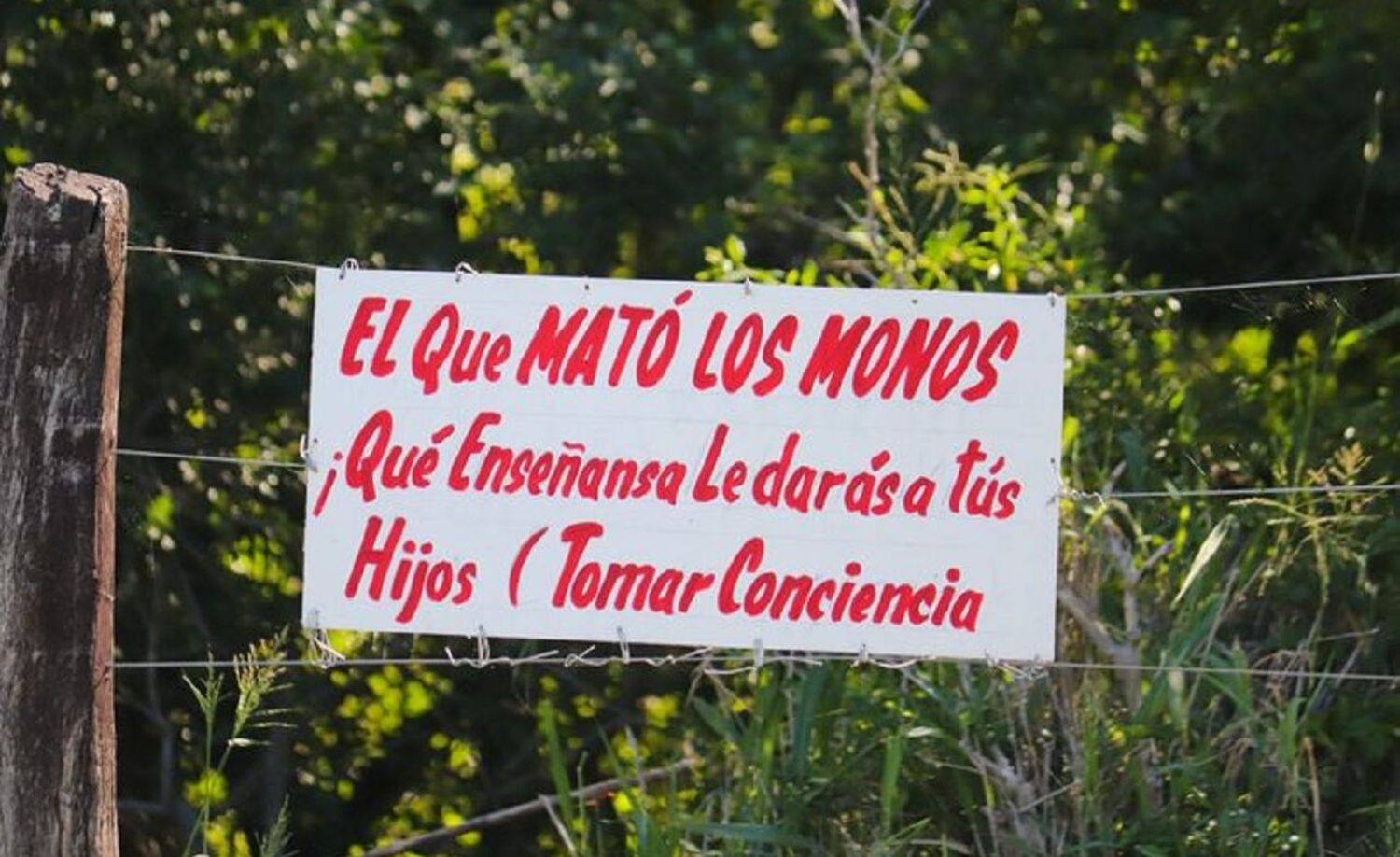 Un letrero que interpela a quienes mataron cruelmente a dos monos camino a Puerto Reconquista