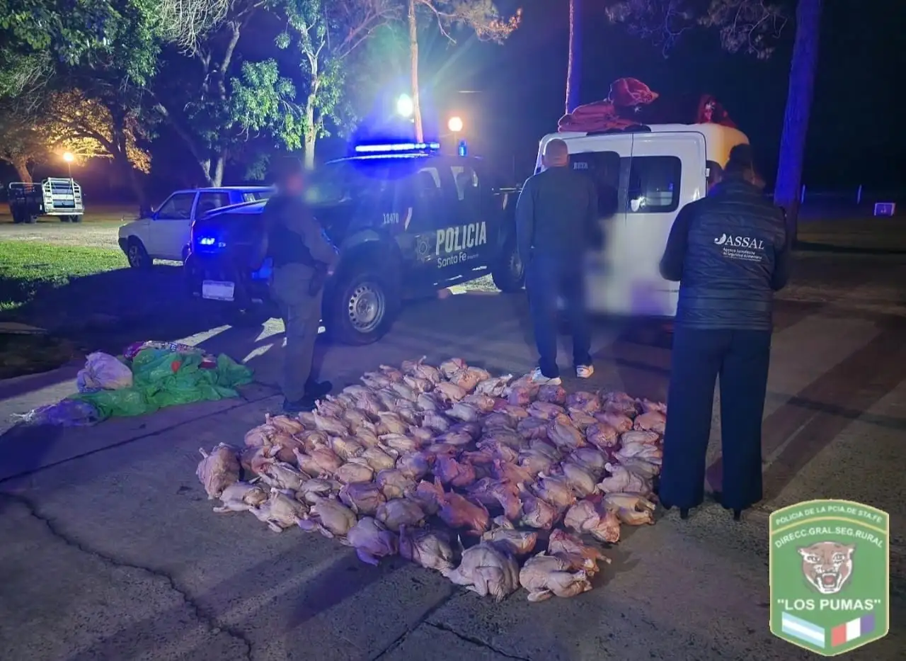 secuestro pollos los pumas