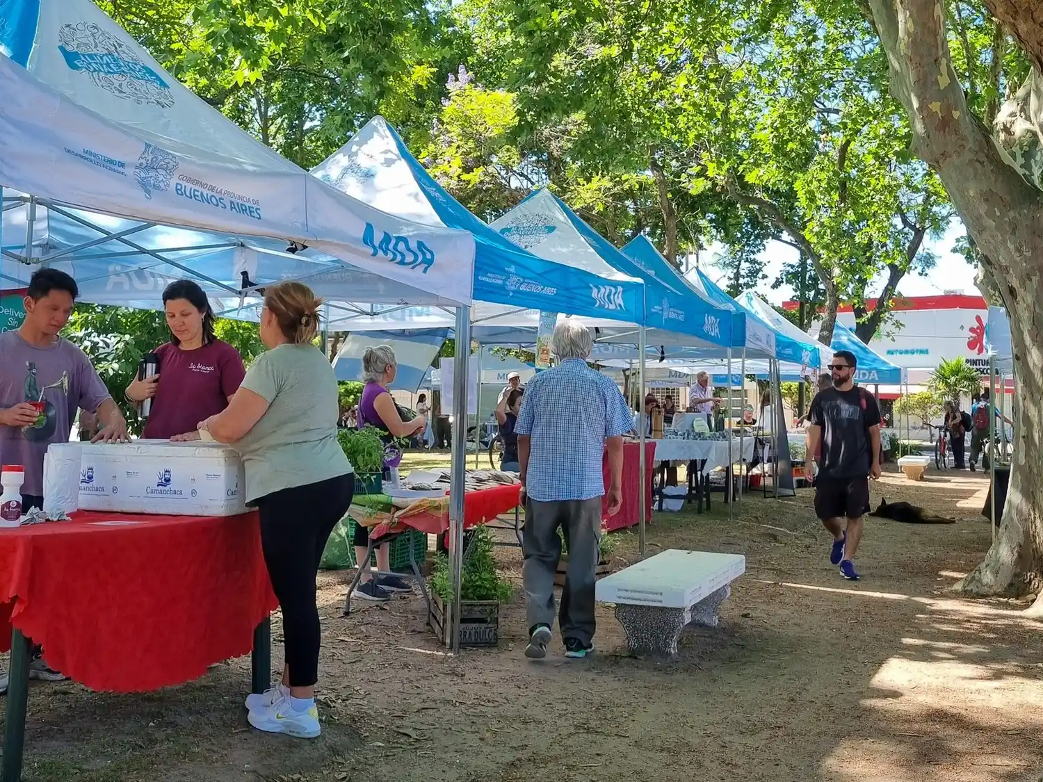 Emprendedores locales protagonizan una nueva feria en Plazoleta Newton con beneficios de Cuenta DNI