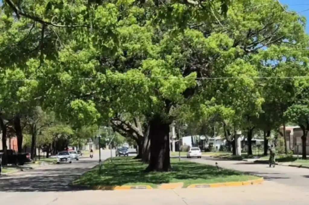 Una vez concretado el robo, los autores se dieron a la fuga y, hasta el momento, su paradero se mantiene desconocido para las autoridades.