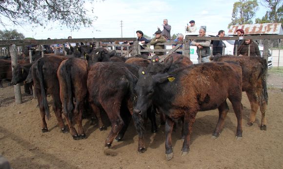 El remate inclusivo de los Arzoz