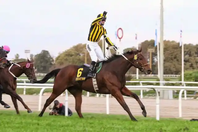 Reunión turfística