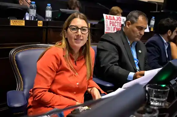 Diputada de Unión por la Patria presentó un proyecto de Boleta Única y suma presión al tratamiento en la Provincia