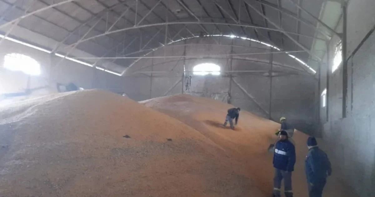 Video: un trabajador quedó atrapado debajo de cientos de kilos de maíz y tuvo que ser rescatado