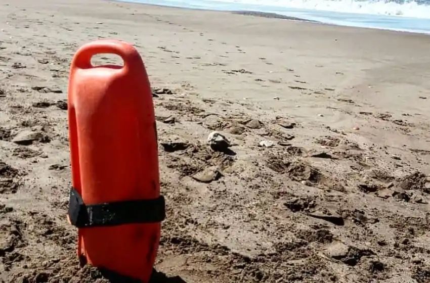 “Nosotros estamos de acuerdo con potenciar a Mar del Plata con el turismo joven, pero tenemos que tener la precaución de educarlo", dijo Nardone.