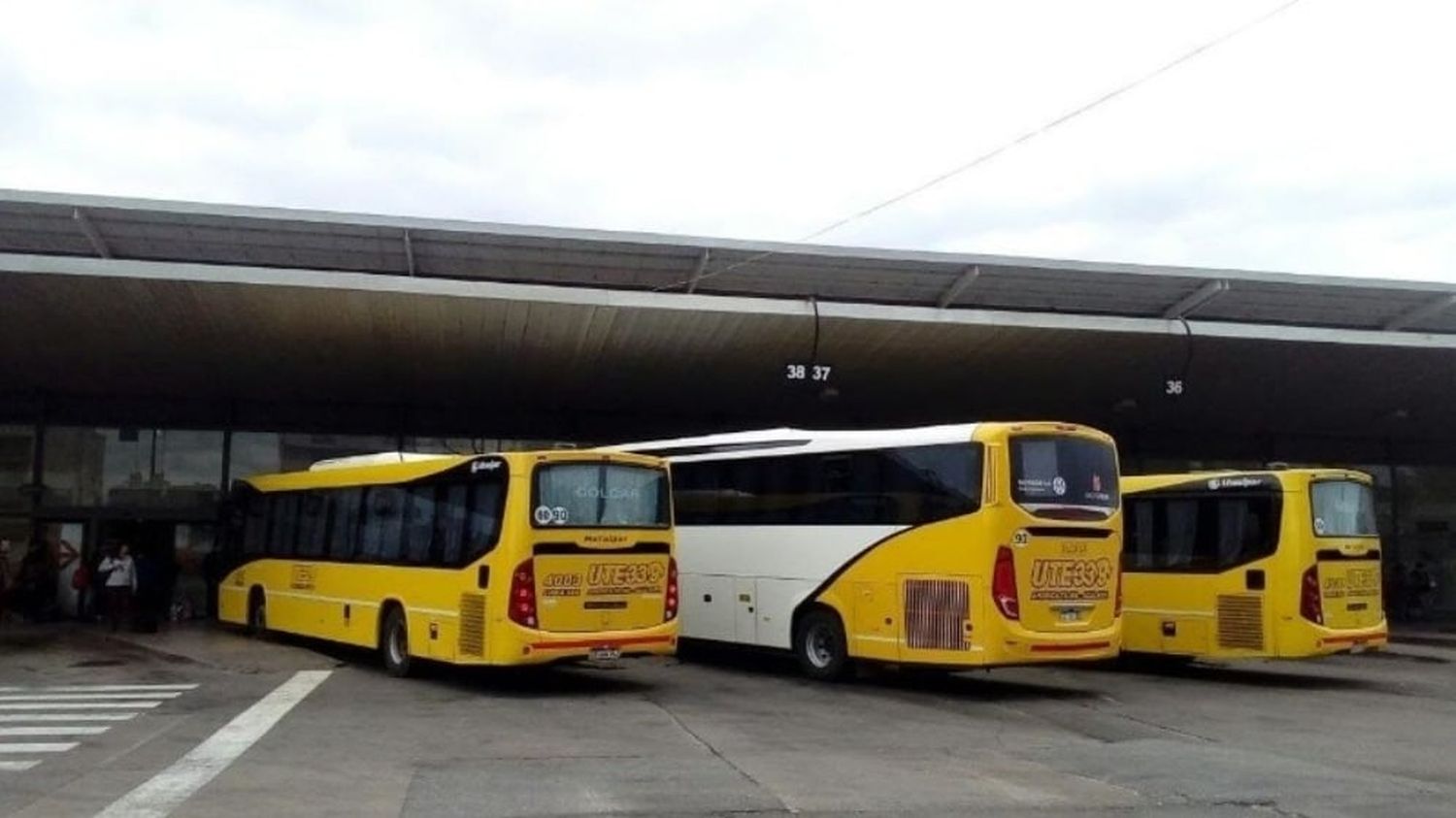 Transporte interurbano: retirarán «servicios que no sean rentables» desde el lunes, hasta lograr un aumento del boleto