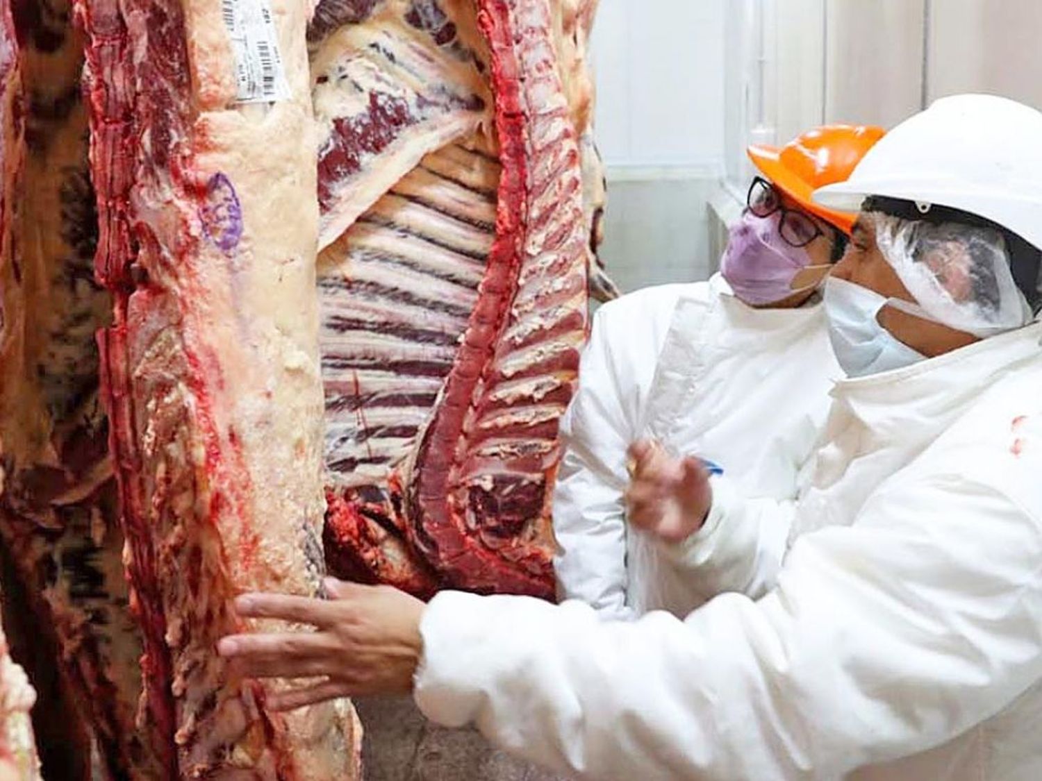 Tiene plazo el nuevo sistema de comercialización por troceo de carne vacuna