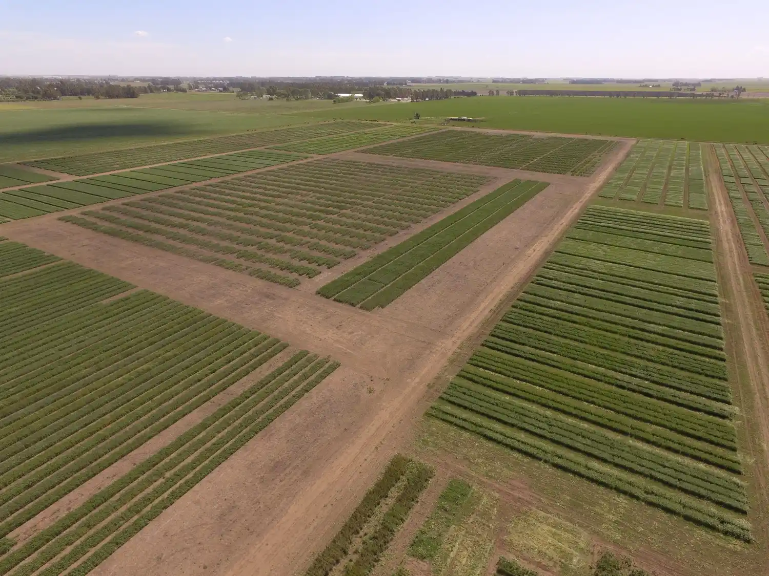 Vuelven los días de Campo de la Chacra