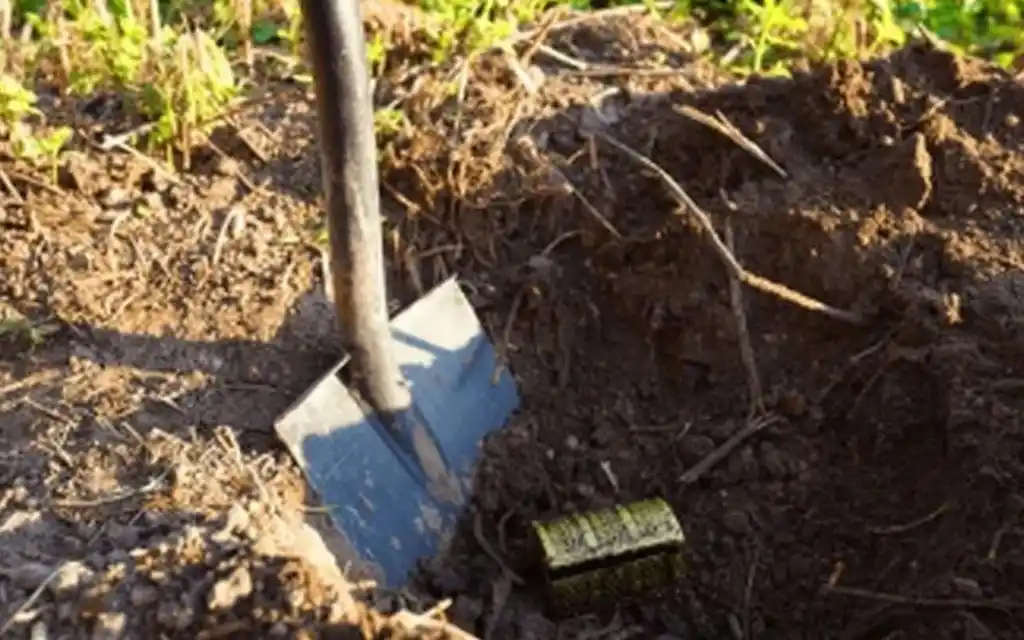 La dueña del tesoro, estaba de vacaciones en Brasil.