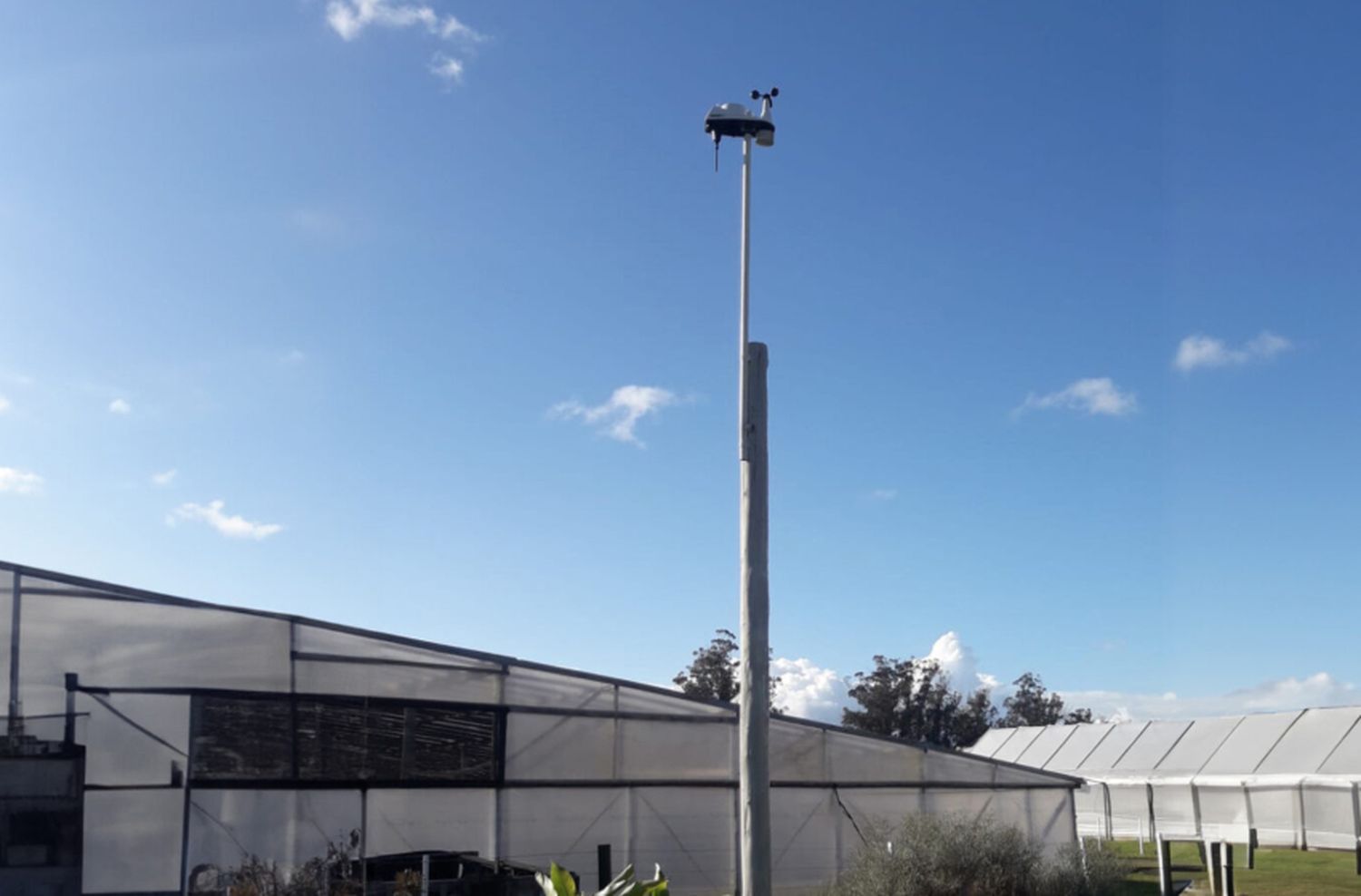 Nueva estación meteorológica en el cordón frutihortícola: "Es para beneficio de toda la ciudad"