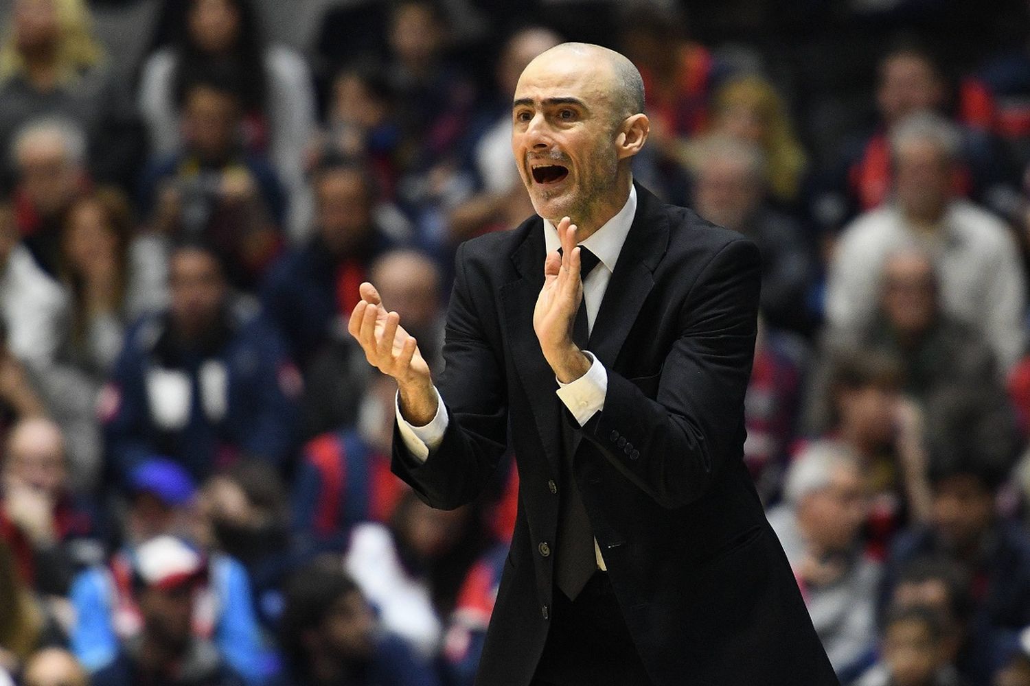 Gabriel Picatto será el nuevo entrenador de la Selección Argentina para la Americup