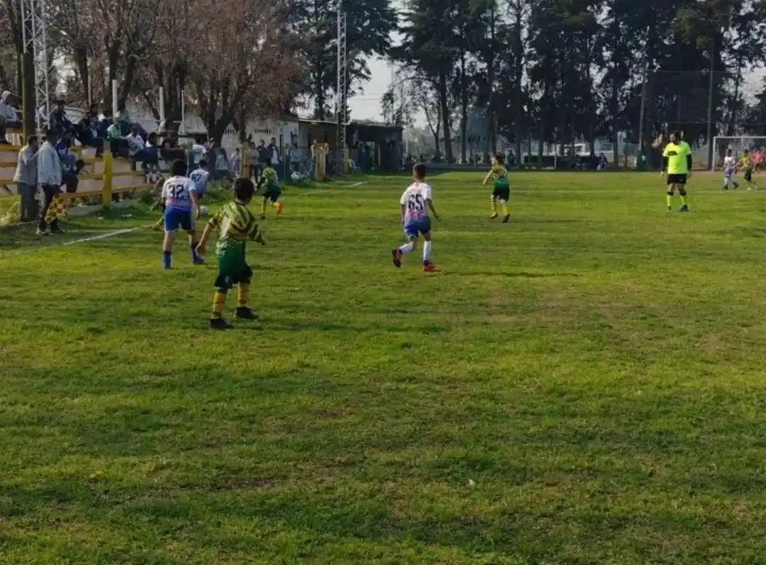 Fútbol Infantil: sanción de un año para entrenador que, disgustado por un fallo arbitral, retiró a su equipo de la cancha