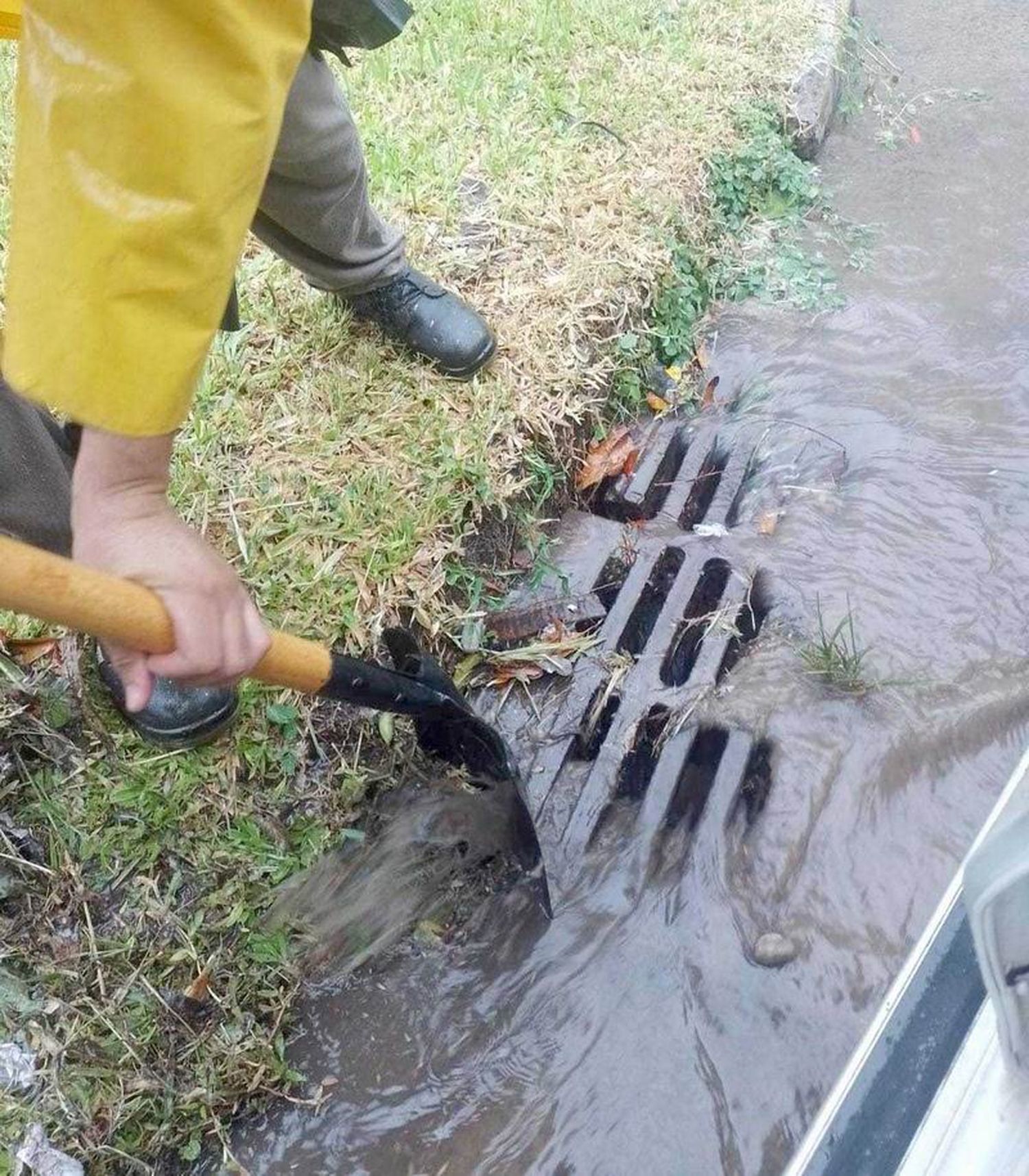 Intensifican trabajos de limpieza 
bocas de tormenta y de drenajes